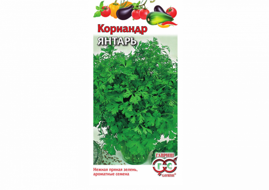 ГВ Кориандр Янтарь *2,0г серия Традиция