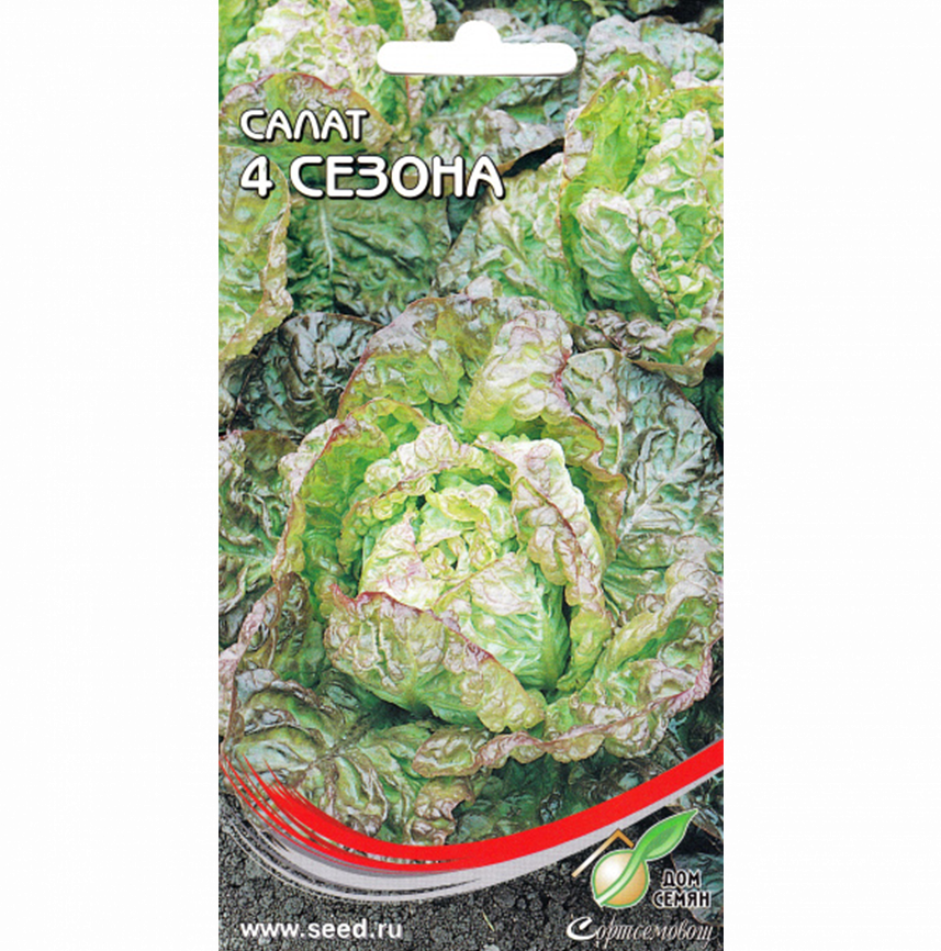 Салат 4 сезона
