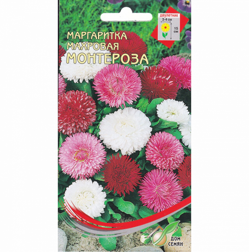 Маргаритка Монстроза