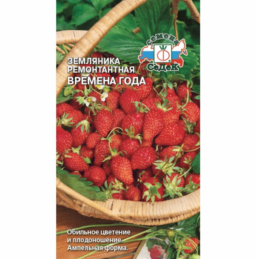 Земляника Времена Года