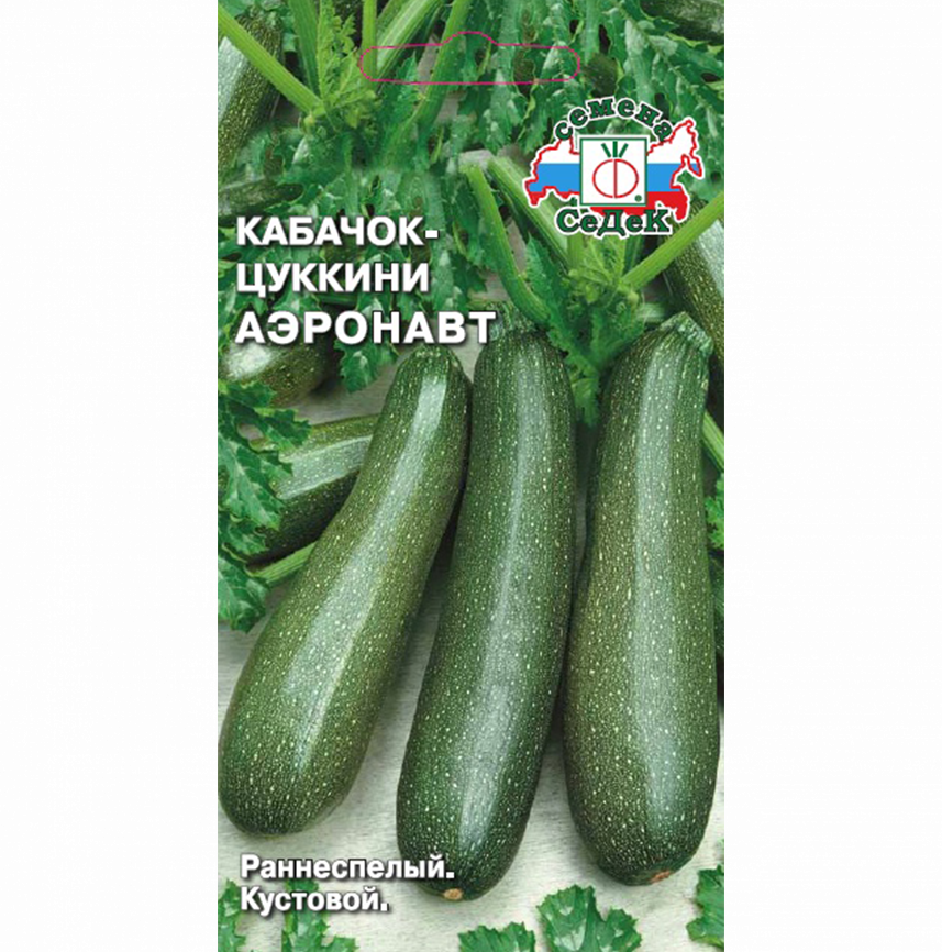 Кабачок Аэронавт