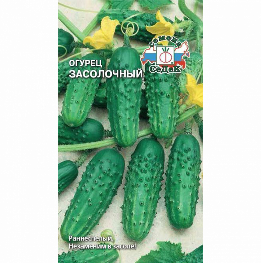 Огурец Засолочный