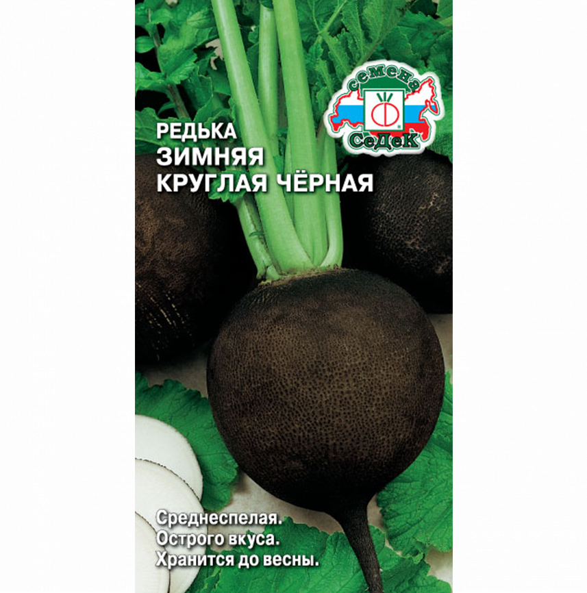 Редька Зимняя Круглая Черная 