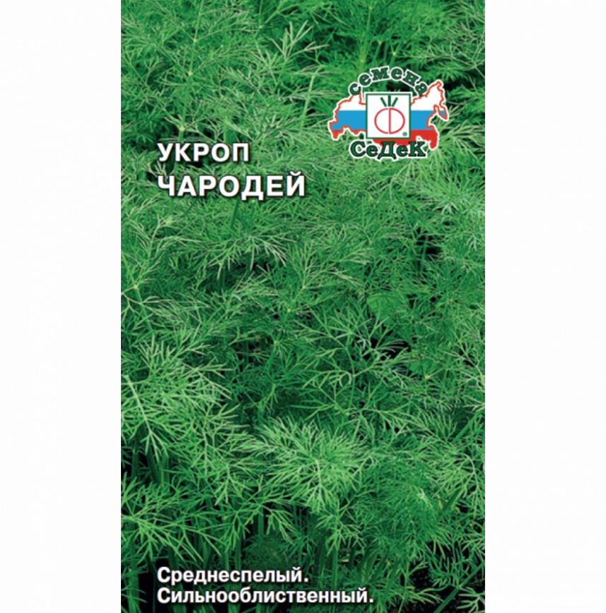 Укроп Чародей