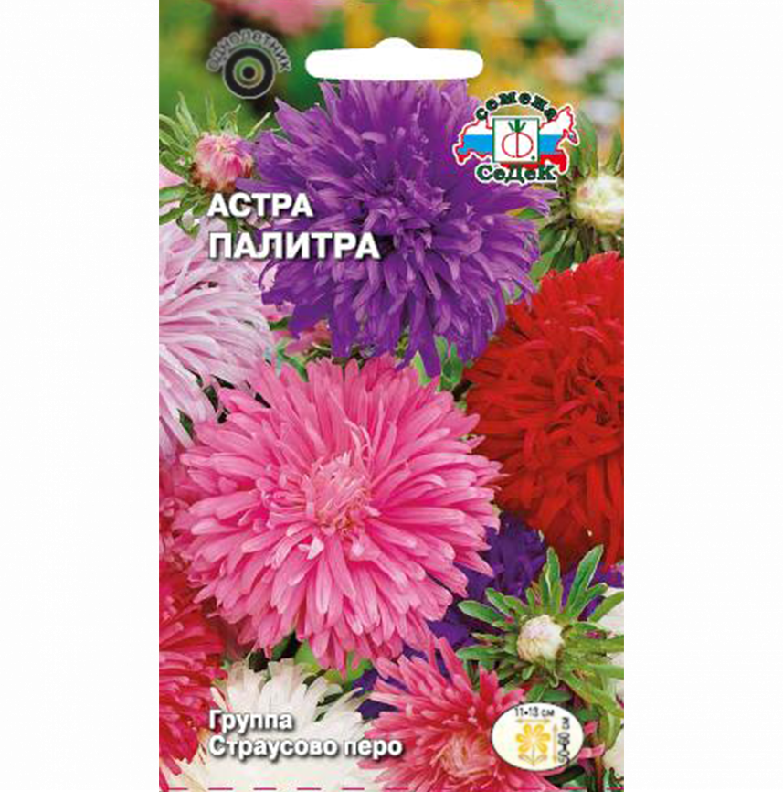 Астра Палитра