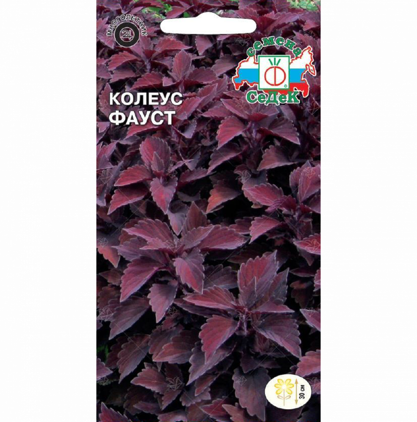 Колеус Фауст