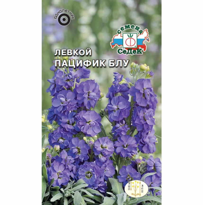 Левкой Пацифик Блу