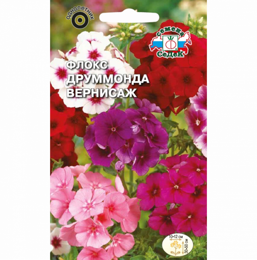 Флокс Друммонда Вернисаж