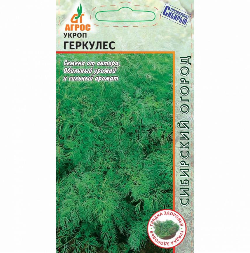 Укроп Геркулес