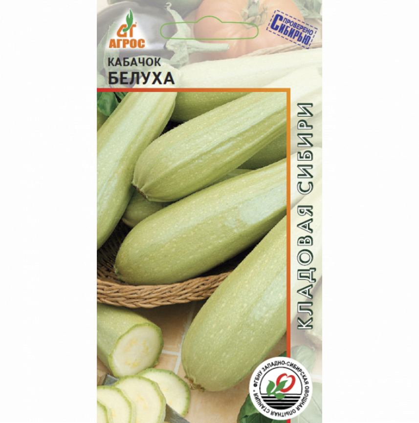 Кабачок Белуха