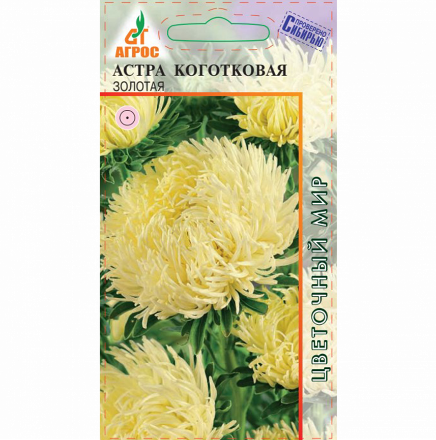 Астра Коготковая золотая