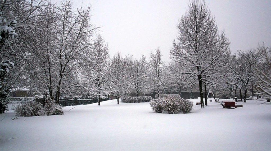 Садовый календарь в феврале
