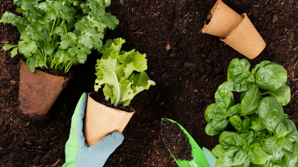 Садовый календарь в мае