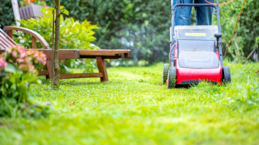 Классификация газонов