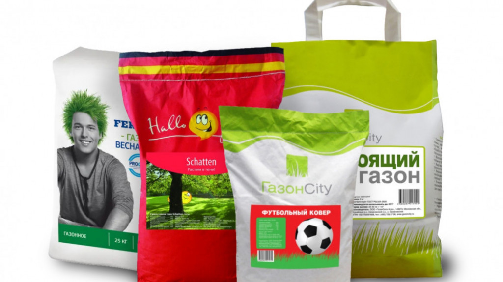 Какой газон лучше рулонный или посевной?