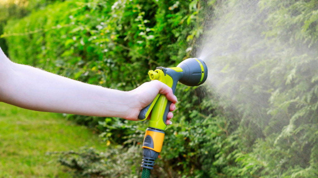 Классификация и состав газонных травосмесей