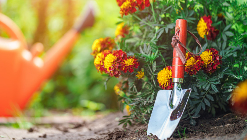 календарь садовода в мае